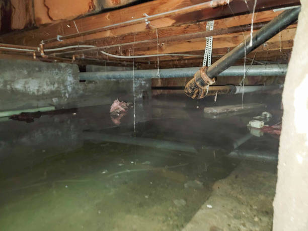  Reynoldsburg, OH Water damage restoration Pros