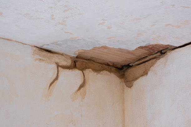 Best Fire Damage Restoration  in Reynoldsburg, OH