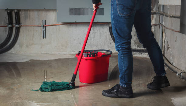Best Ceiling water damage repair  in Reynoldsburg, OH