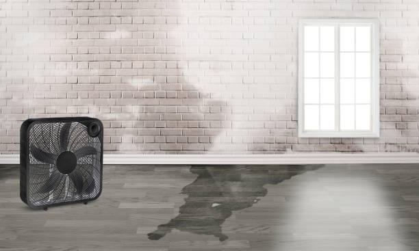 Best Carpet water damage restoration  in Reynoldsburg, OH