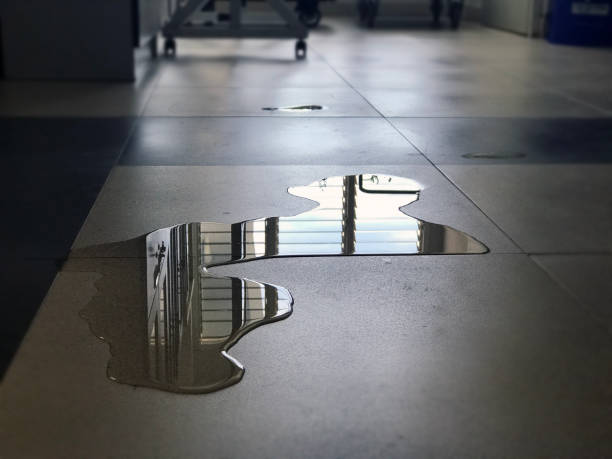 Best Professional water damage repair  in Reynoldsburg, OH