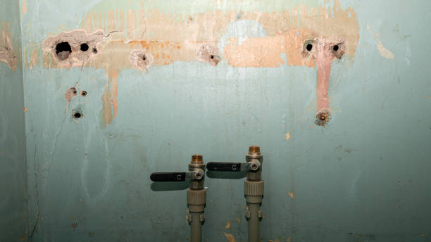 Best Fire Damage Restoration  in Reynoldsburg, OH