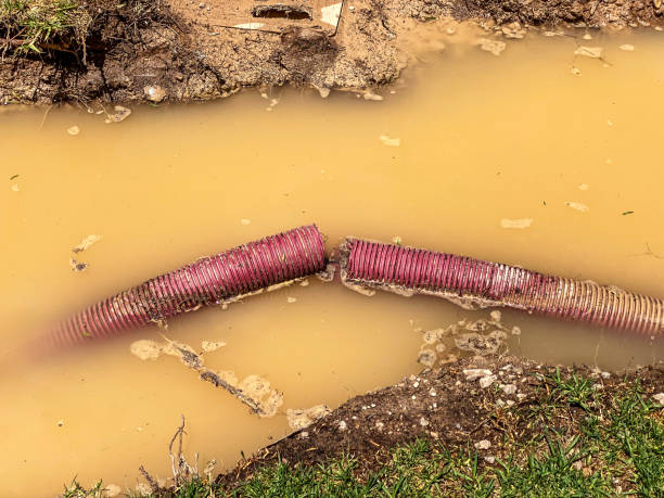 Best Carpet water damage restoration  in Reynoldsburg, OH